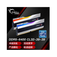 芝奇(G.SKILL)32GB(16Gx2)套装 DDR5 6400频率 台式机内存条-幻锋戟RGB灯条(科技银)/C32
