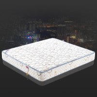 维诺斯帝席梦思乳胶床垫 棕垫 弹簧软硬床垫大 小户型床垫 559 一面椰梦维+一面乳胶竹席 1500*2000mm,