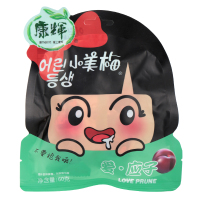 康辉新品韩版小美梅爱应子60g/袋 李子