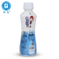 椰岛官方旗舰店 正宗海南特产植物蛋白 果肉椰子汁饮料 500g*15瓶 包邮