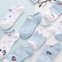 袜子秋季薄款女韩版短袜可爱日系潮流ins百搭学生船袜子女短袜蓝诺妮梦