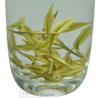 【预售】正宗安吉白茶茶叶袋装雨前一级珍稀春茶2020新茶250g
