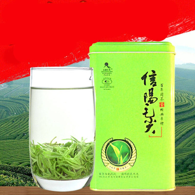 新品2017新茶信阳毛尖信阳绿茶茶叶散装春茶浓香耐泡500g炒青新茶绿茶礼品