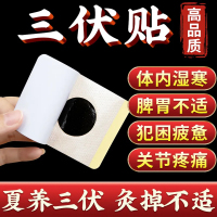 达人专享:同仁堂三伏贴*1