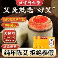 达人专享:加粗2.0艾柱*2