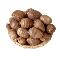 【中华特色】菏泽馆葵哥毛芋头2.5斤装 华东