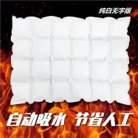 航空冰袋闪电客快递专用冷冻反复使用海鲜樱桃保鲜冷藏自吸水24格