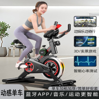 动感单车家用款小型家庭运动自行车闪电客健身器材室内单车机