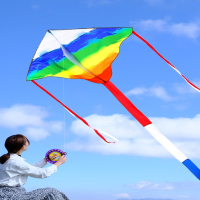 彩虹风筝儿童微风易飞个性网红闪电客风筝大型风筝大人专用