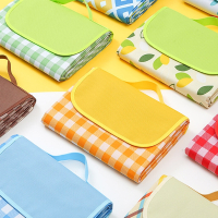 路飞野餐垫防潮垫加厚户外帐篷露营地垫便携春游野炊野外草坪防水垫子