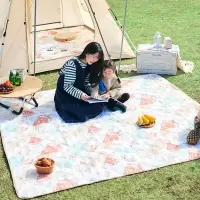 路飞春游垫子野餐垫防潮垫加厚户外露营垫野餐地垫防水公园野餐布