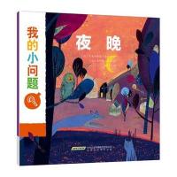全新正版 我的小问题：夜晚