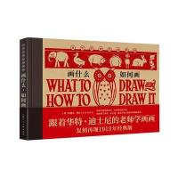 全新正版 画什么，如何画(百年经典绘画教程)