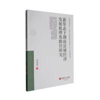 全新正版 新常态下湖南县域经济发展机理及路径研究