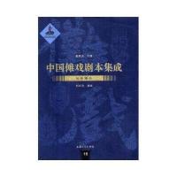 全新正版 中国傩戏剧本集成：辰州傩戏