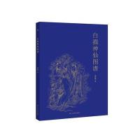 全新正版 白描神仙图谱