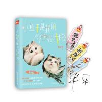 全新正版 小鱼干是我的,你也是我的