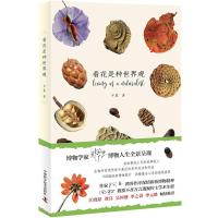 全新正版 看花是种世界观