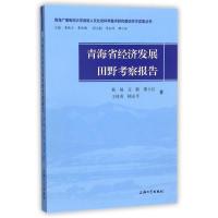 全新正版 青海省经济发展田野考察报告