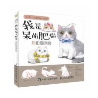 全新正版 我是呆萌肥猫：彩铅猫咪绘