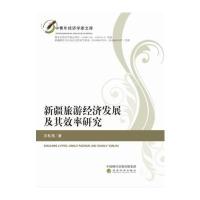 全新正版 新疆旅游经济发展及其效率研究