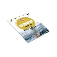 全新正版 摇摆萌娃——鸟类天地大揭秘