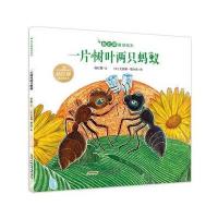 全新正版 杨红樱童话绘本：一片树叶两只蚂蚁