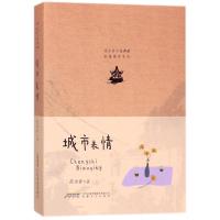 全新正版 范小青小说典藏 长篇都市系列 城市表情