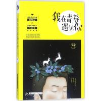 全新正版 我在青春遇见你
