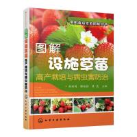 全新正版 果树栽培修剪图解丛书--图解设施草莓高产栽培与病虫害防治