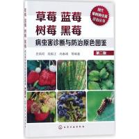 全新正版 现代果树病虫害诊治丛书--草莓蓝莓树莓黑莓病虫害诊断与防治原色