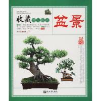 全新正版 收藏赏玩指南——盆景