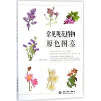 全新正版 常见观花植物原色图鉴