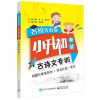 全新正版 名校等着你 小升初考试 古诗文专训