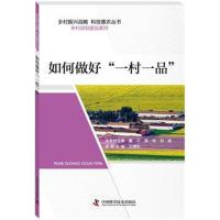 全新正版 如何做好“一村一品”