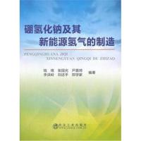 全新正版 硼氢化钠及其新能源氢气的制造