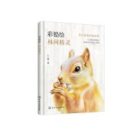 全新正版 彩色铅笔绘画教程--彩铅绘——林间精灵