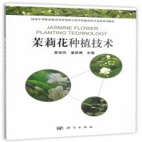 全新正版 茉莉花种植技术