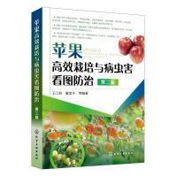 全新正版 苹果高效栽培与病虫害看图防治(第二版)