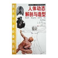 人体动态解剖与造型