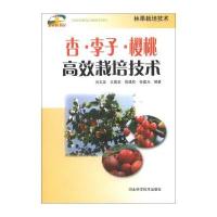 123 新农村书屋:杏 李子 樱桃高效栽培技术