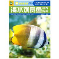 123 海水观赏鱼饲养指南