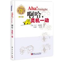 啊哈,灵机一动 (中文版)