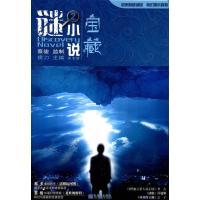 谜小说2:宝藏