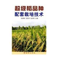 超级稻品种配套栽培技术