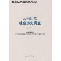 云南回族社会历史调查(二)