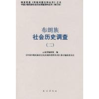 布朗族社会历史调查(二)