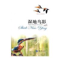 湿地鸟影