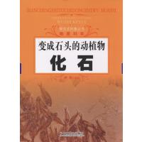 变成石头的动植物 化石