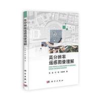 高分辨率遥感图像理解